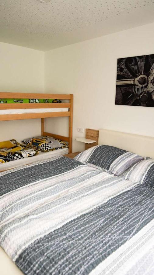 Apartment Am Alpakahof Hahn Grafenschlag エクステリア 写真